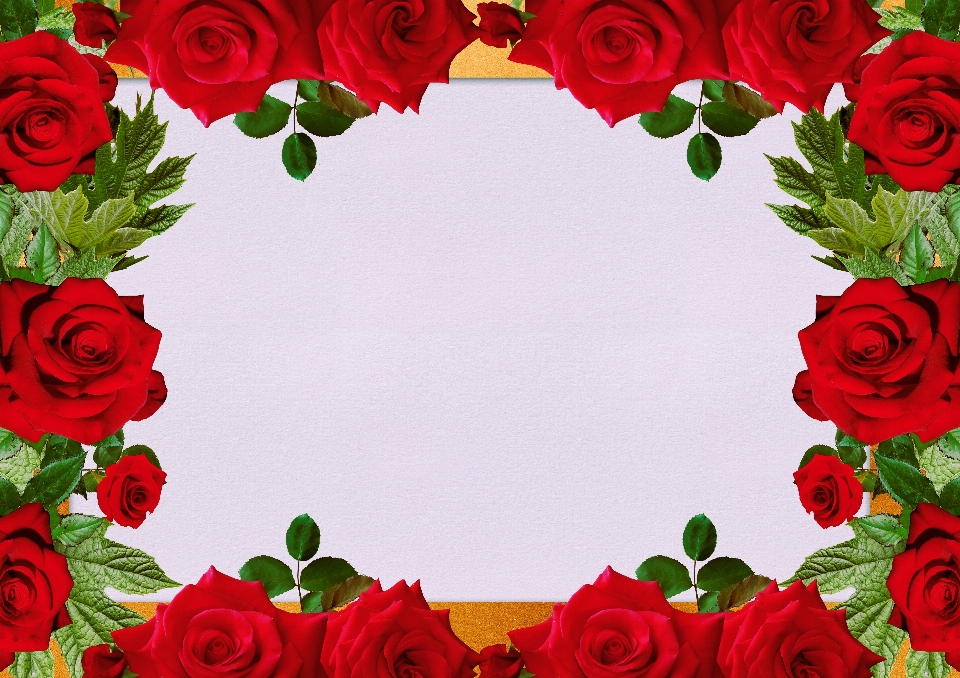 Flowers frame design text space