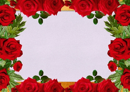 Flowers frame design text space Photo