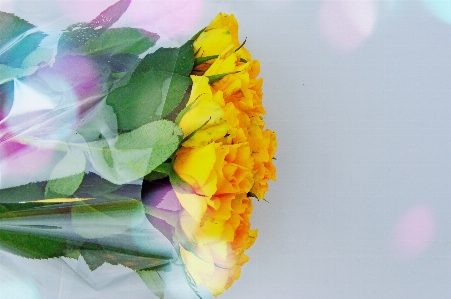 White bouquet background yellow Photo