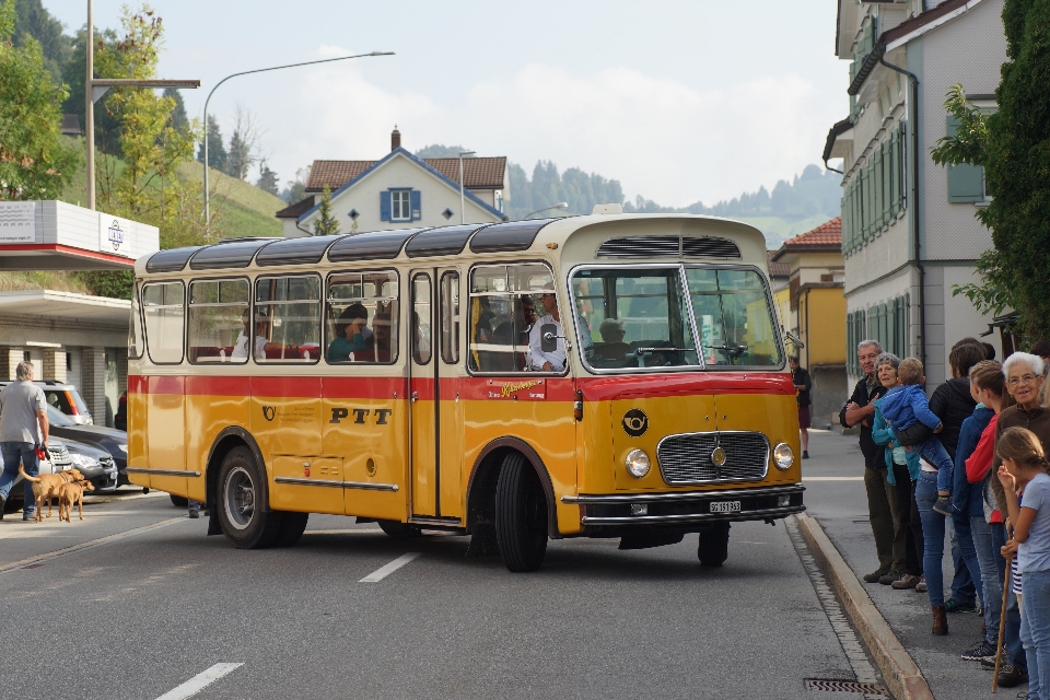 Auto bus kraftfahrzeug
 transport