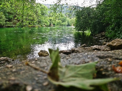 France forest nature provence Photo