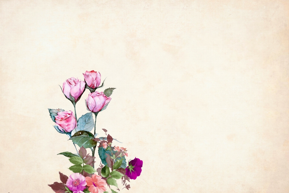 Flower floral background border