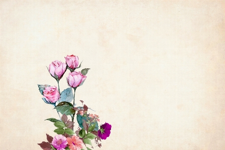 Flower floral background border Photo