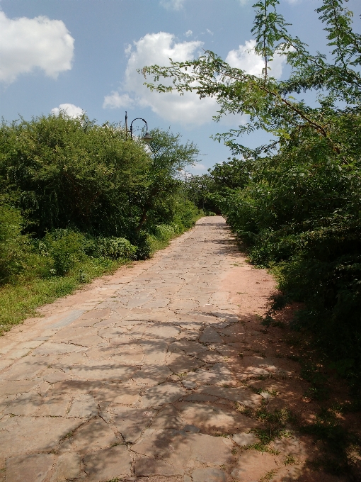 通路 路 天空 小路