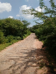 Pathway road sky path Photo