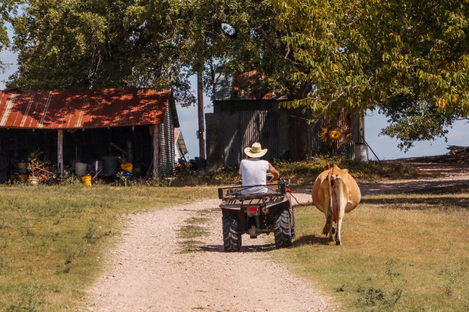 Farm rural mode of transport cart