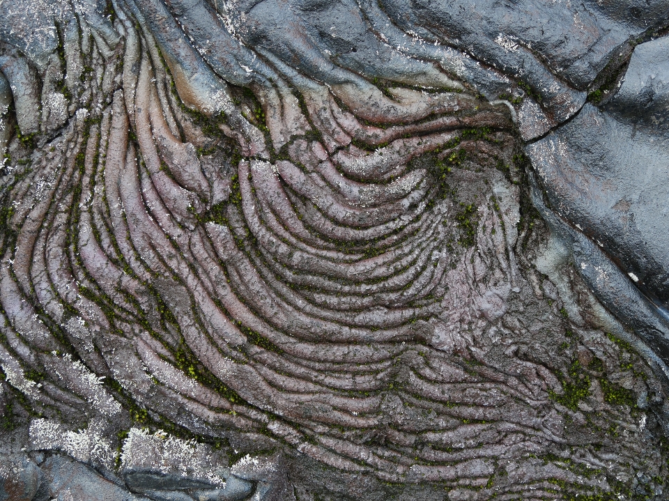 Lava vulcano calcolo albero