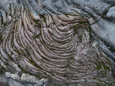 Lava volcano stone tree Photo