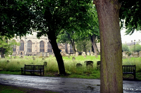 Photo Cimetière pierres tombales
 bancs
 des arbres