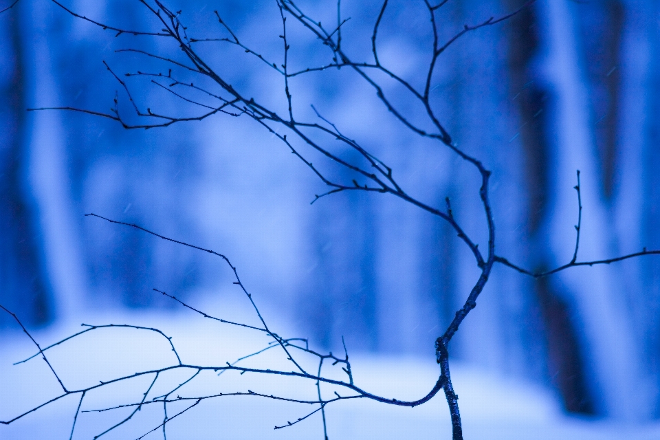 Nieve invierno frío azul