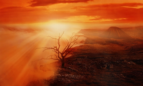 Foto Paesaggio albero vulcano nuvole