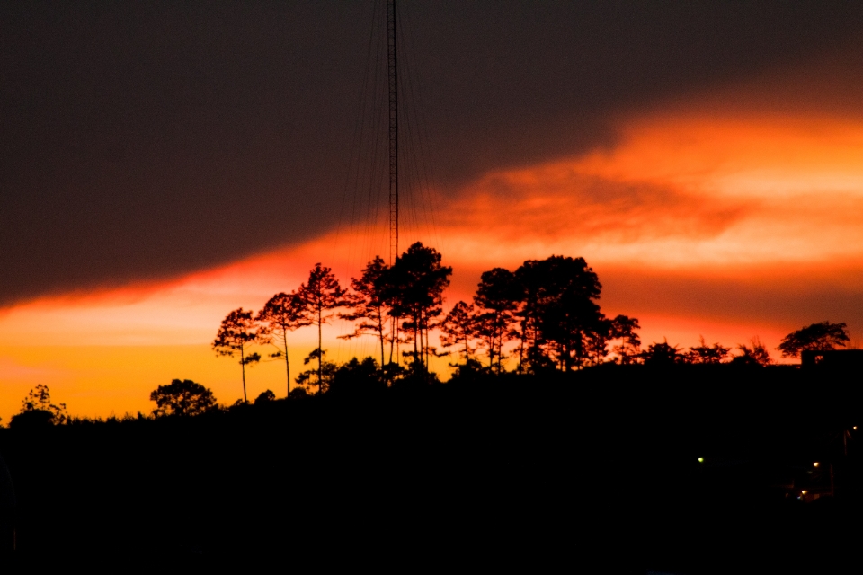 Tramonto
 cielo
 alberi
 natura
