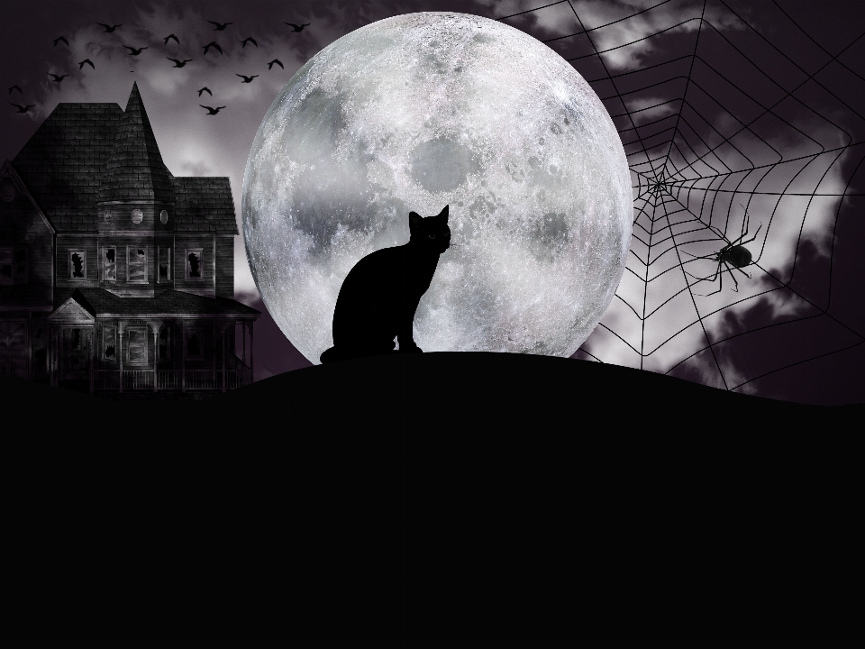 Halloween night of witches moon