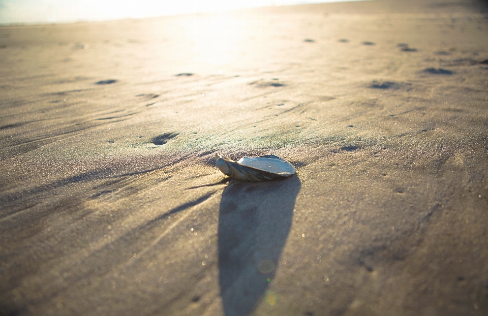 Sonne wasser meer sand