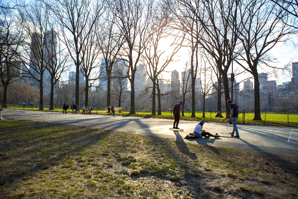 New york parc printemps soleil