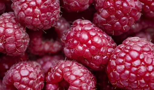 Background berry closeup delicious Photo