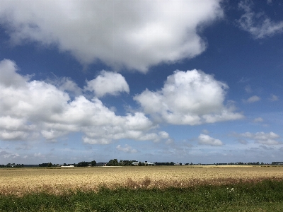 Foto Céu holandês
 pastagem
 nuvem