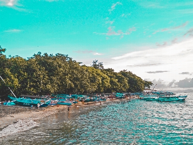 Strand meer natur himmel Foto