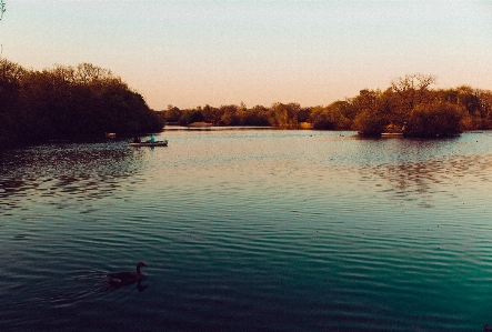 Pond lake water sunset Photo