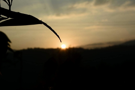 Foto Canone fotografia mattina alba