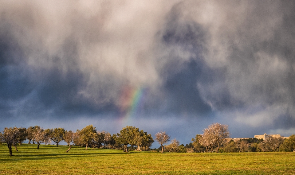 Himmel wolke natur regenbogen