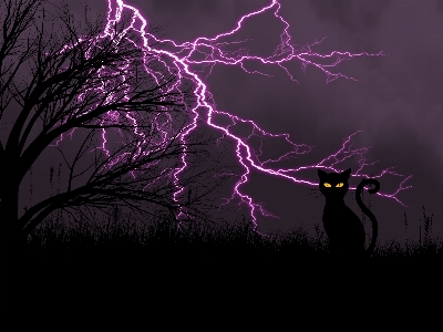 Night storm lightning darkness Photo