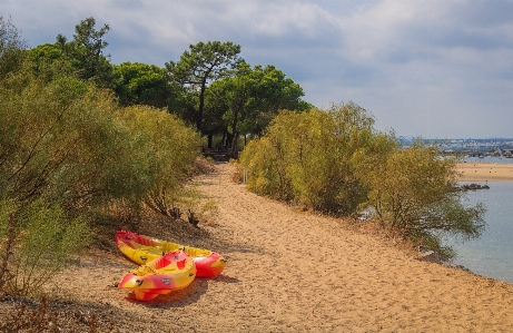 Boat yellow shore sky Photo