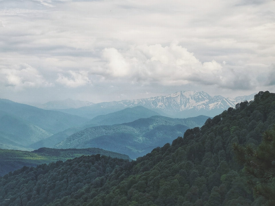 Mountains sky clouds forest