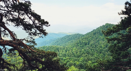 Mountains sky clouds forest Photo