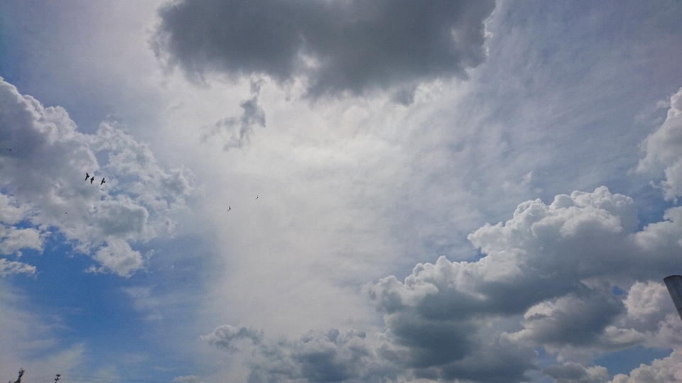 Cielo nuvole sole uccelli