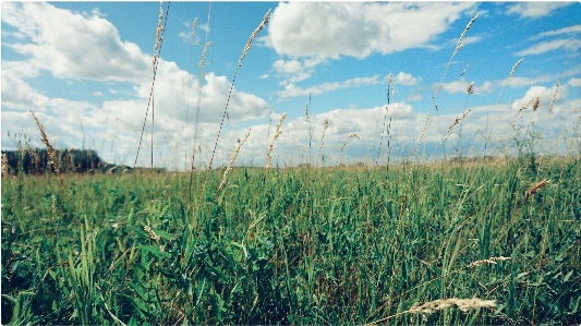 Himmel wolken sonnig feld Foto