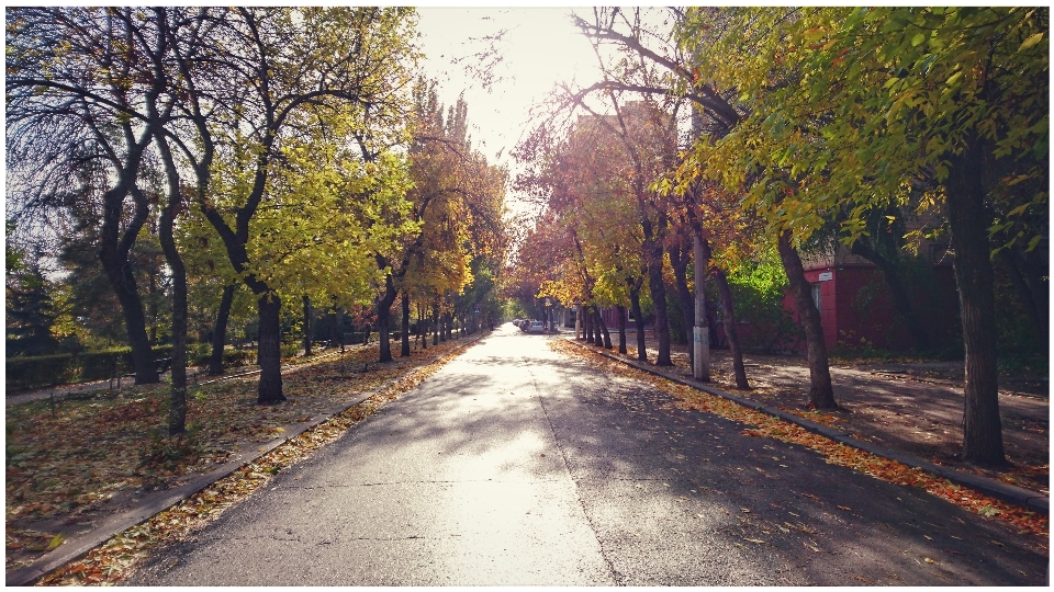 Autumn clouds leaves road