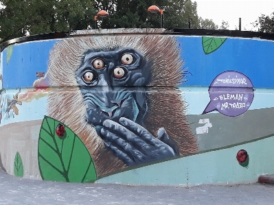 Foto Río arte callejero mural
