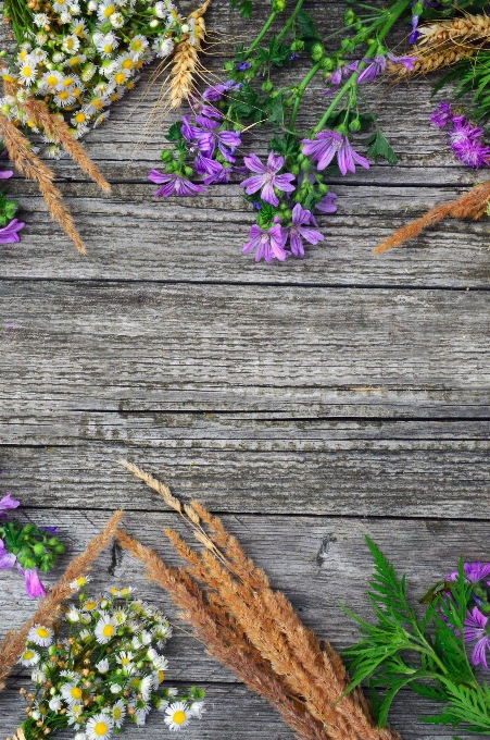 White old background wooden