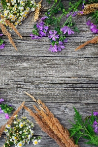 White old background wooden Photo