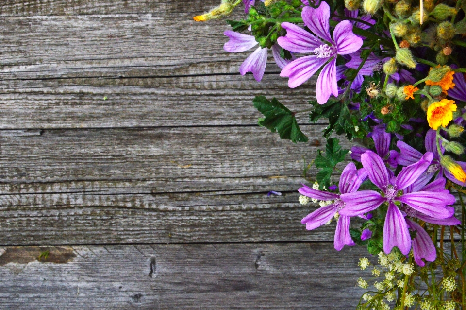 White old background wooden