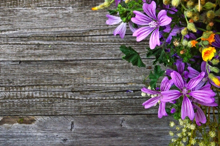 White old background wooden Photo