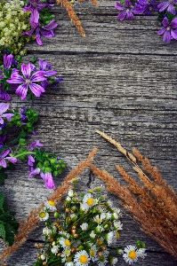 White old background wooden Photo