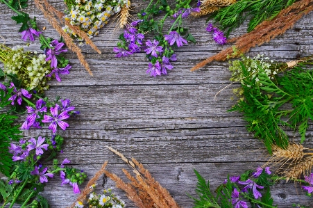 White old background wooden Photo