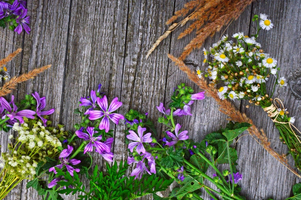 White old background wooden