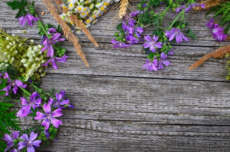 White old background wooden Photo