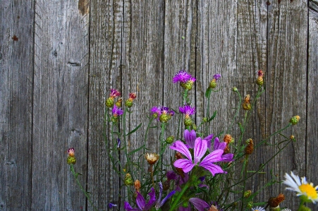 White old background wooden Photo