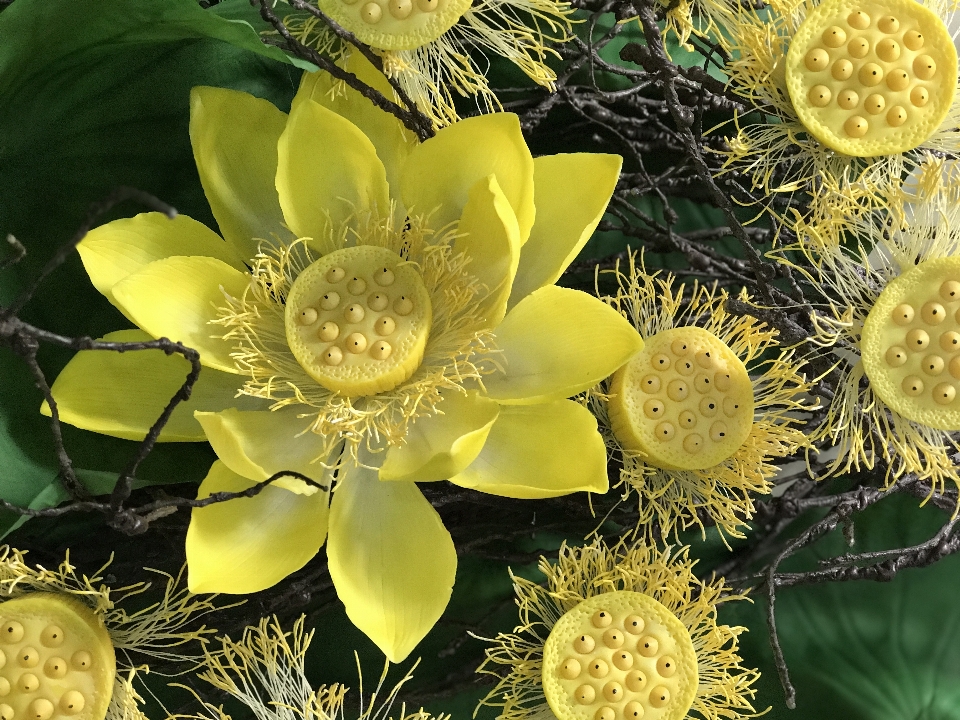 花 カッター ツール いちご