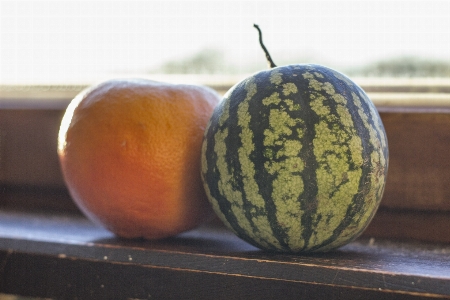 Small watermelon grapefruit window Photo