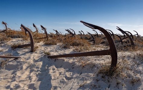 Barril beach sky sand Photo