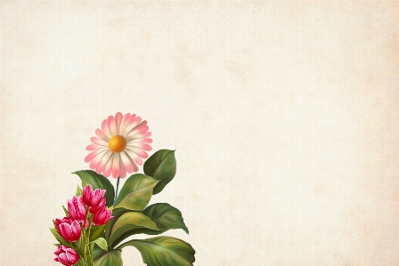 Flower floral background border Photo