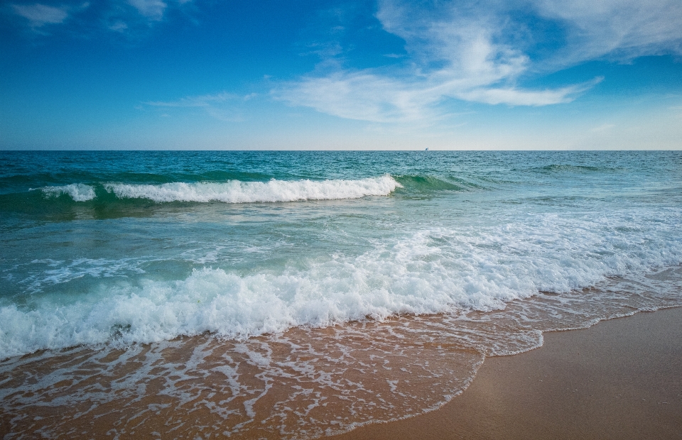 Sea wave ocean shore