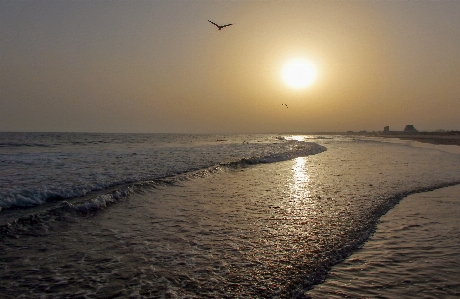 Sun sea horizon shore Photo