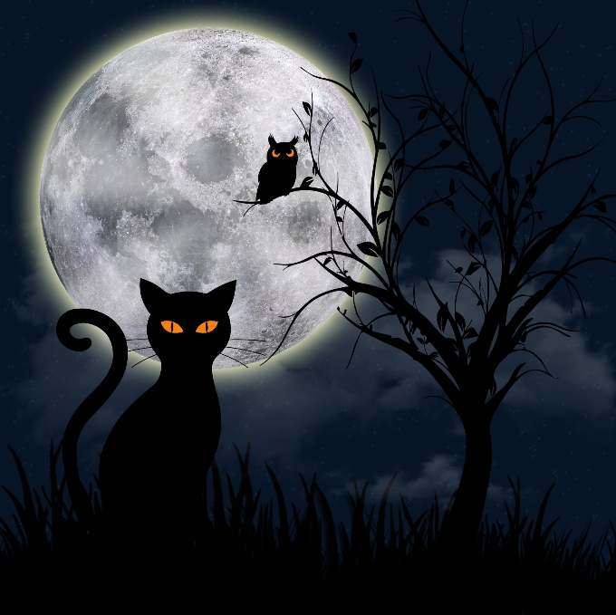 Nacht katze fantasie mond