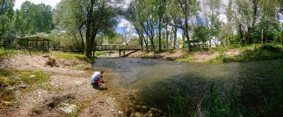 Nature waterway reserve path